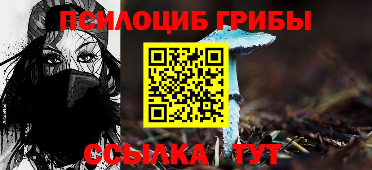 Галлюциногенные грибы ЛСД  Вход с VPN  Галлюциногенные грибы Psilocybe  Мирный 
