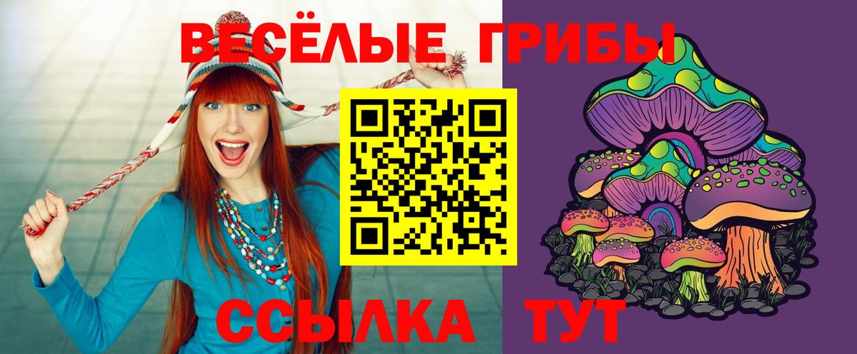 Псилоцибиновые грибы прущие грибы Мирный