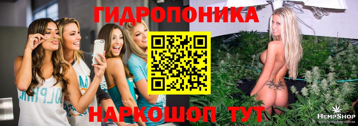 Бошки марихуана White Widow  Вход с VPN  Мирный  МАРИХУАНА ГИДРОПОН  МАРИХУАНА семена 